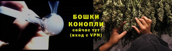 гашик Заволжье