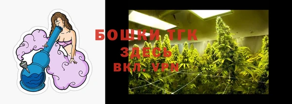 гашик Заволжье