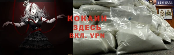 соль курить ск Заводоуковск