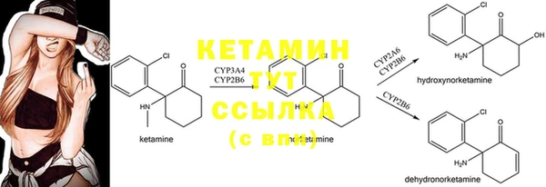 соль курить ск Заводоуковск
