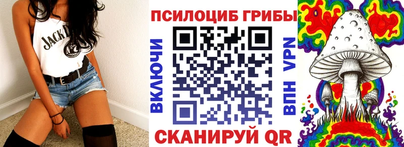 Купить закладки  Воркута  Галлюциногенные грибы Psilocybine cubensis 